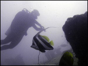 Subic Bay Scuba Course Subic Bay Scuba Course
