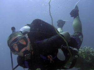 Scuba Tech Philippines Buoyancy Masterclass Streamlined scuba kit on a coral reef diver