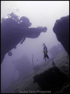 Scuba Diving in Subic Bay Scuba Diving in Subic Bay