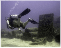 PADI license philippines PADI license philippines
