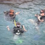 cheap quality scuba courses