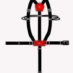 Sidemount-Harness-Setup-Configuration