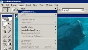 Duplicate-Layer