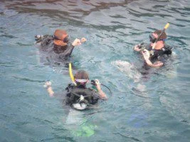 cheap quality scuba courses