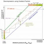 gradient factors