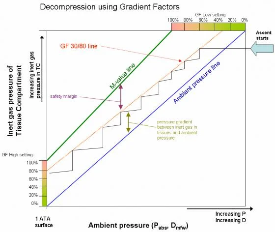 Gradient Factors Explained By Matti Antilla Ph.d gradient factors