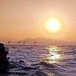 technical-diving-courses-subic-philippines