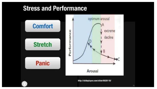 human factors in diving 6