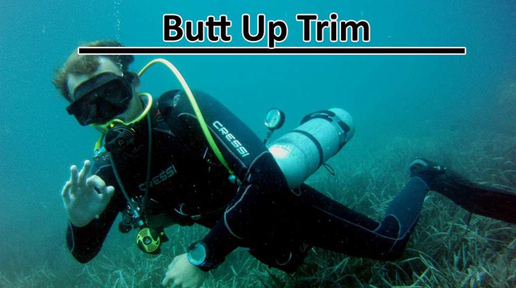 butt up trim
