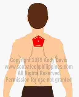 Sidemount Harness Set Up copyright 2019 Andy Davis