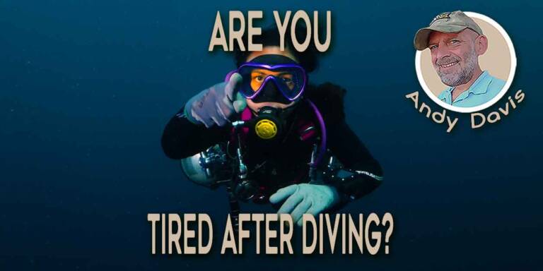 This has become a mainstream item for the OTR driver and other divers  alike. When I was a team driver we had one …