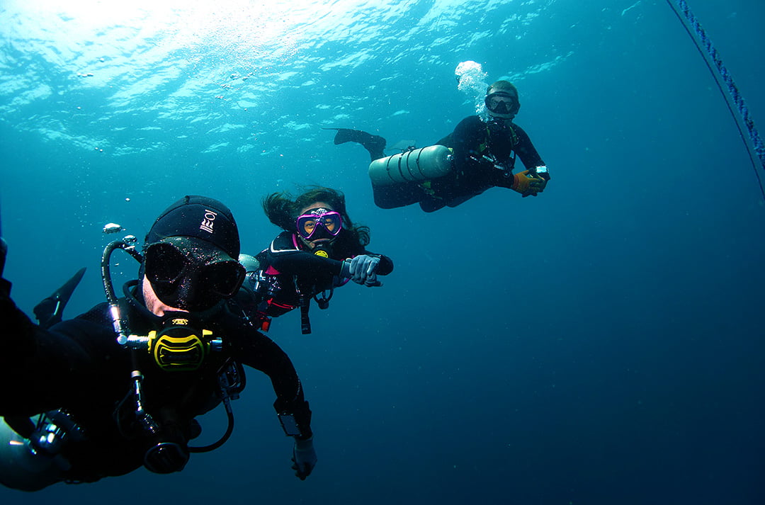 tips for new divers