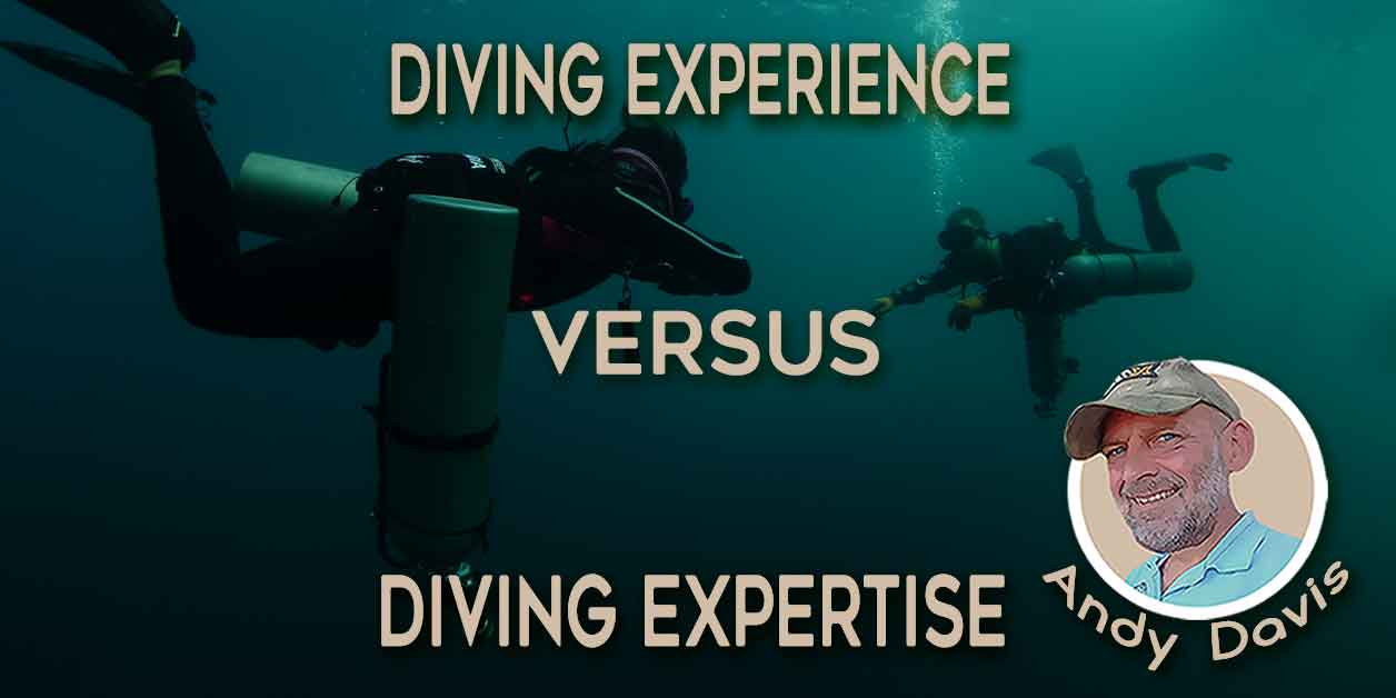 diving experience essay