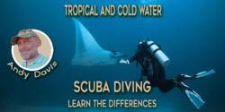 Tropical And Cold Water Diving: What's The Difference? tropical-and-cold-water-diving-scuba