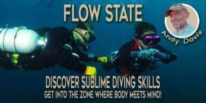 Flow state for divers. Discover sublime scuba divin g skills