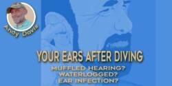 Ten Essential Tips For Muffled Hearing After Diving | Ear Care For Divers Muffled hearing after diving. Ear care for divers. Ear infection. Water in the ears. Courtest of https://www.myupchar.com/en (creative comments)