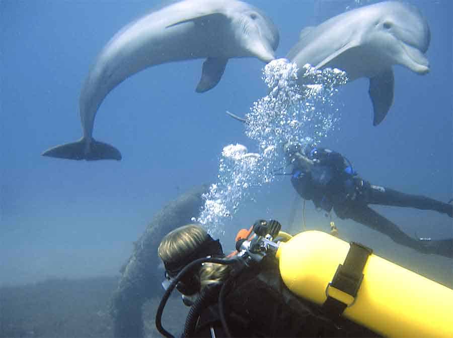 Most divers realize the short-term thrills of scuba diving. But there are deeper benefits which can sustain a holistic long-term enjoyment!
