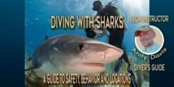 A Guide to Diving With Sharks: Thrills, Chills, and Safety Skills Diving-with-sharks-guide-to-safety when shark diving