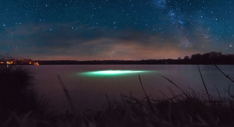 Someone is enjoying night diving. Do you wonder what adventures they are experiencing down there?