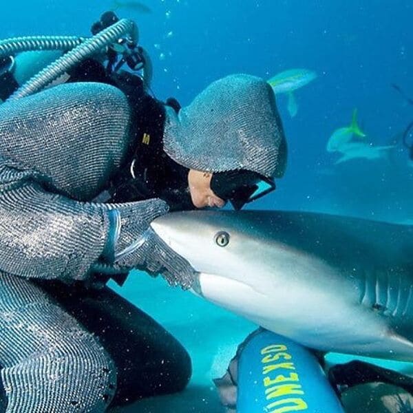 Tiger Shark Behavior - Epic Diving