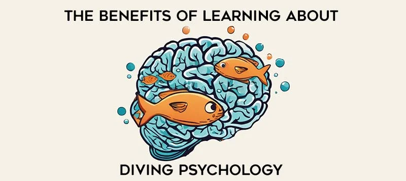benefits of learning about diving psychology